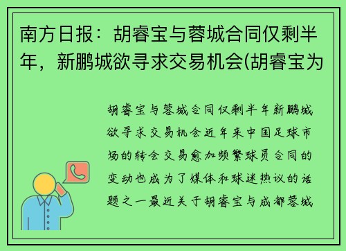 南方日报：胡睿宝与蓉城合同仅剩半年，新鹏城欲寻求交易机会(胡睿宝为什么叫曼城名宿)