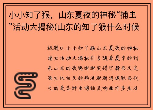 小小知了猴，山东夏夜的神秘“捕虫”活动大揭秘(山东的知了猴什么时候出来)