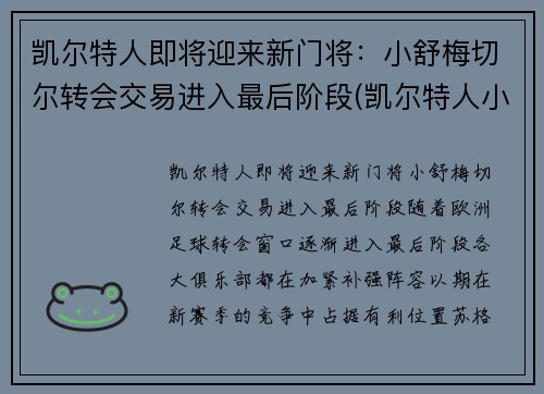 凯尔特人即将迎来新门将：小舒梅切尔转会交易进入最后阶段(凯尔特人小球迷)