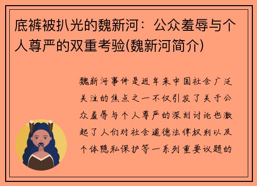 底裤被扒光的魏新河：公众羞辱与个人尊严的双重考验(魏新河简介)