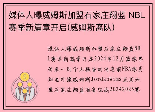 媒体人曝威姆斯加盟石家庄翔蓝 NBL赛季新篇章开启(威姆斯离队)