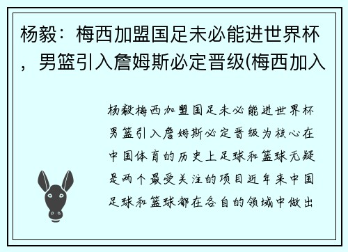 杨毅：梅西加盟国足未必能进世界杯，男篮引入詹姆斯必定晋级(梅西加入吧)